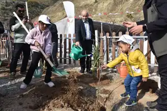 Doğu Karadeniz'de Binlerce Fidan Toprağa Kavuştu