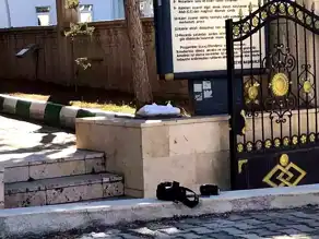 Gümüşhane'de Bebek İhbarı Yanlış Alarm Çıktı: Kedi!