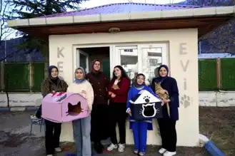 Gümüşhane Öğrencileri Kedilere Sıcak Yuva Sağladı