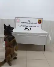 Gümüşhane'de Silah Operasyonu: 4 Gözaltı