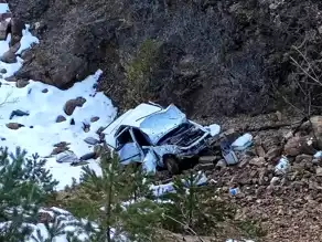 Gümüşhane'de Trafik Kazası: Sürücü Hayatını Kaybetti