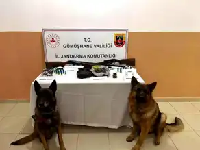 Gümüşhane'de Uyuşturucu ve Silah Operasyonu: Tutuklama