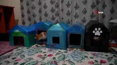 Gümüşhane Öğrencileri Engelli Kedilere Destek Oluyor
