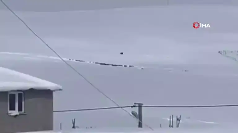 Kış Uykusundan Uyanan Ayı, Yükseklerde Görüntülendi!