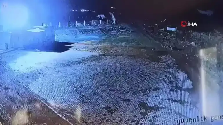 Aç Kurtlar Bekçi Köpeğini Saldırdı!