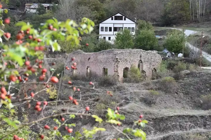 Tarihi Mahallede Sonbahar Renkleri